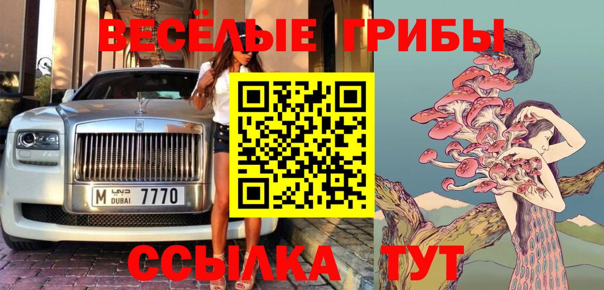 Псилоцибиновые грибы мицелий Кумертау