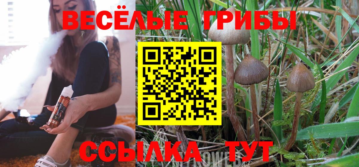 Галлюциногенные грибы GOLDEN TEACHER  Галлюциногенные грибы мицелий  Вход с VPN  Кумертау 